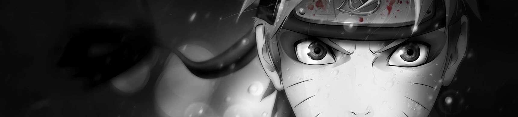 Banner for Naruto: Shippuden